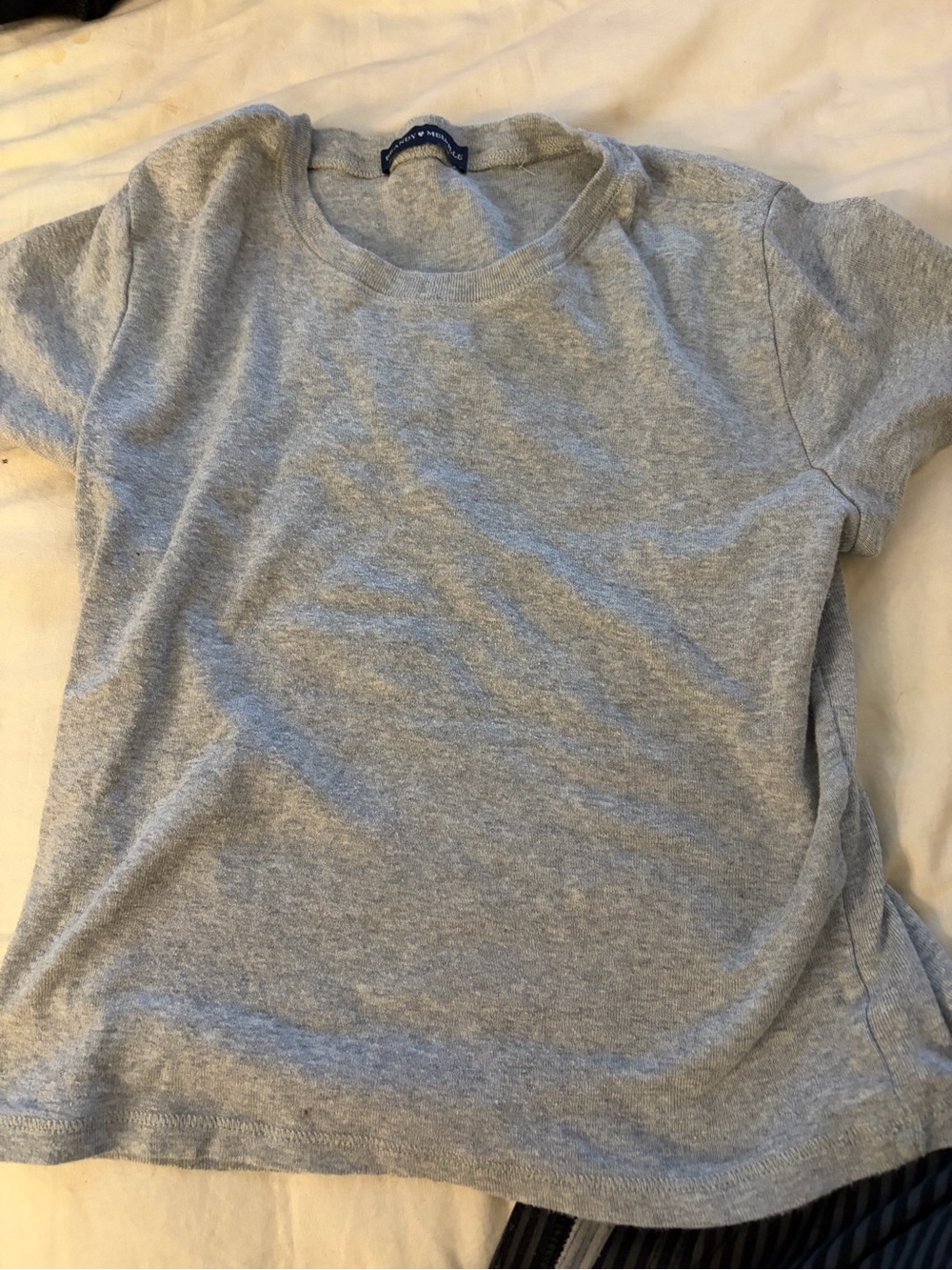 Brandy Melville Light Gray Crop Tee